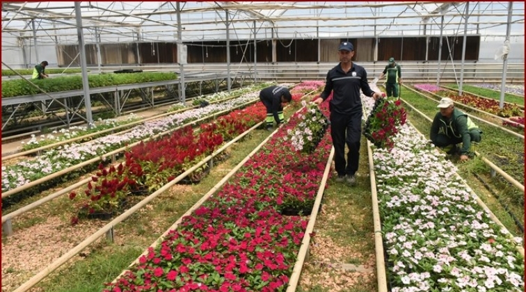 Şahinbey 9 milyon &ccedil;i&ccedil;ek yetiştirdi