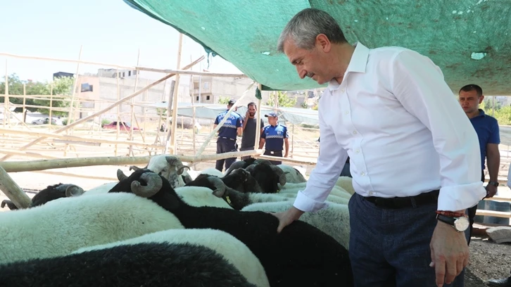 Şahinbey'de kurban kesim yerleri belirlendi