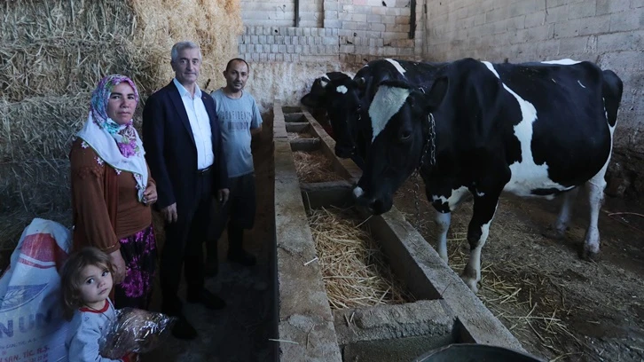 Şahinbey'den Bayramlı Köyü’nde hayvan desteği