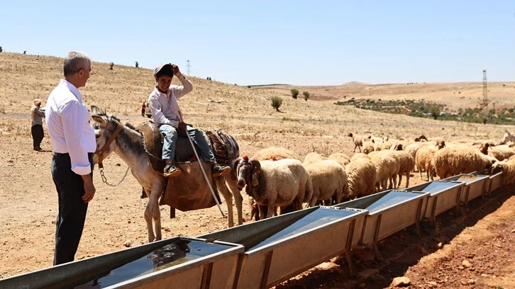 Şahinbey'den çiftçi ve hayvan yetiştiricilerine destek