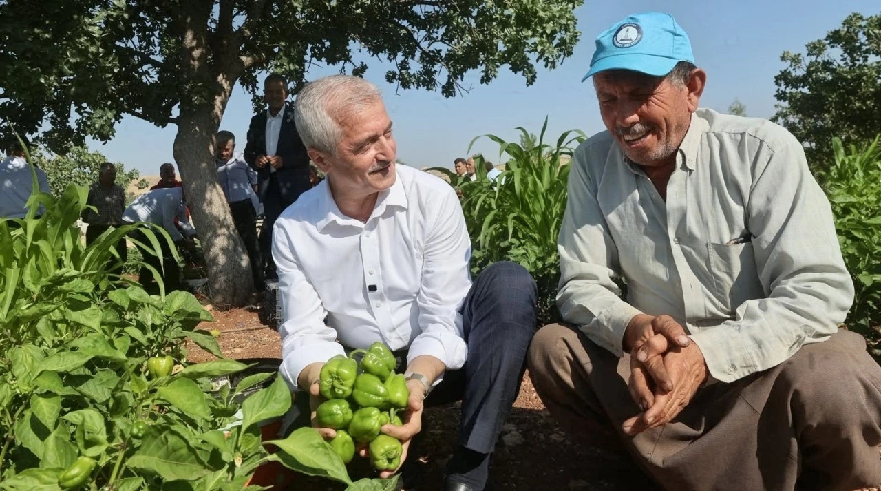 Şahinbey'in &ccedil;ift&ccedil;ilere fide desteği s&uuml;r&uuml;yor 