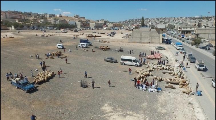 Şahinbey'de kurban kesim ve satış noktaları