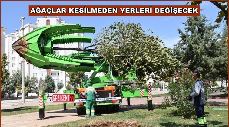 Şahinbey'den ağaç taşıma makinası