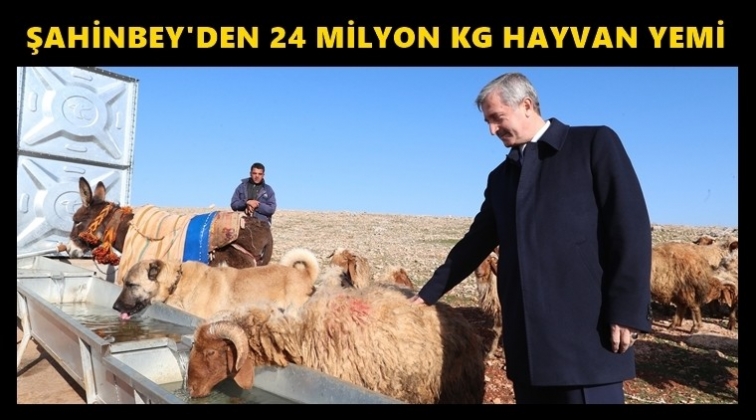 Şahinbey'den hayvancılığa destek...