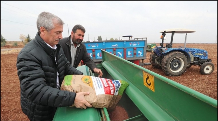 Şahinbey'den tohum ve gübre desteği...