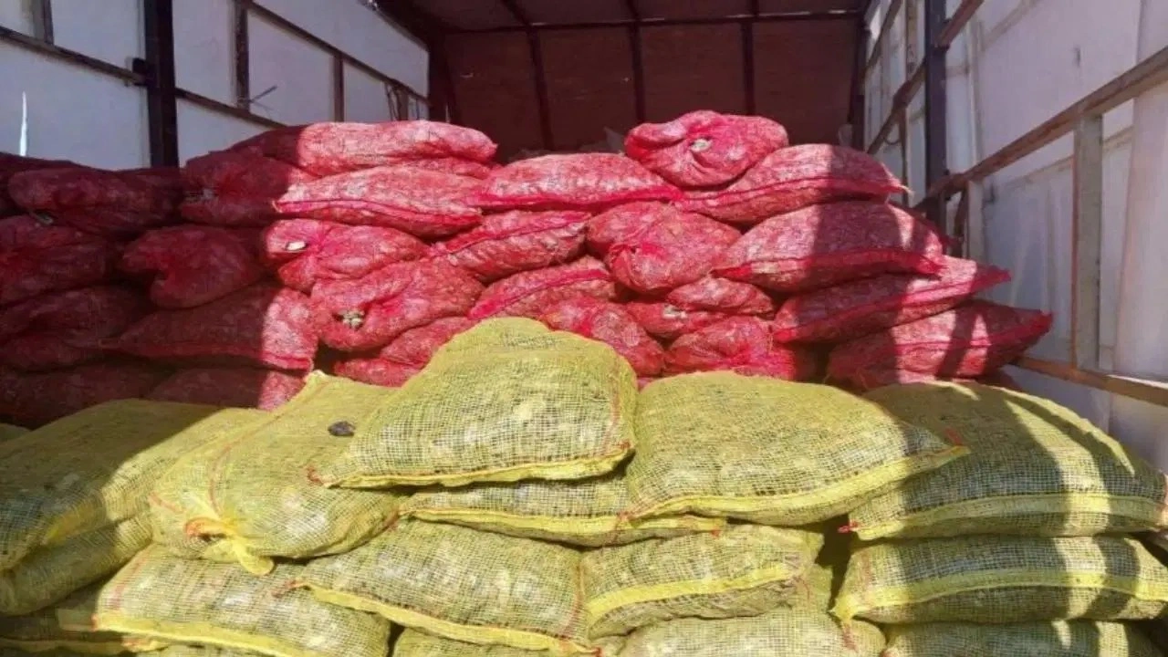 Sakarya'da 3 milyon TL değerinde kaçak midye ele geçirildi