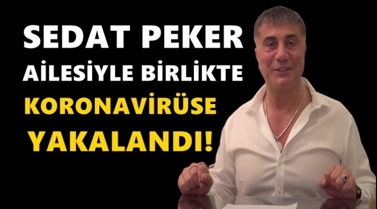 Sedat Peker, ailesiyle birlikte koronavirüse yakalandı!