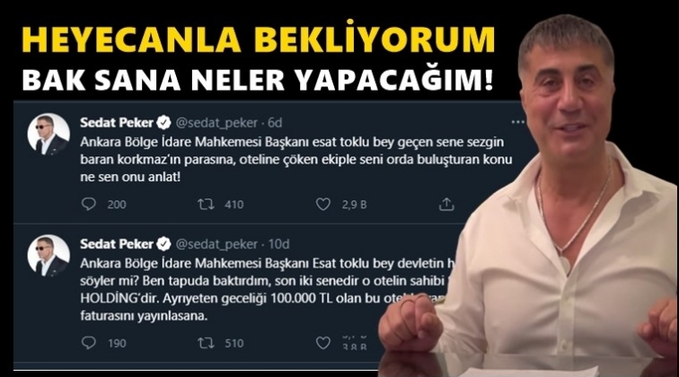 Sedat Peker: Bak sana neler yapacağım...