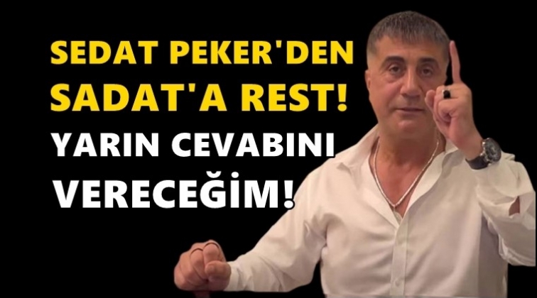 Sedat Peker, SADAT'a tarih verdi!