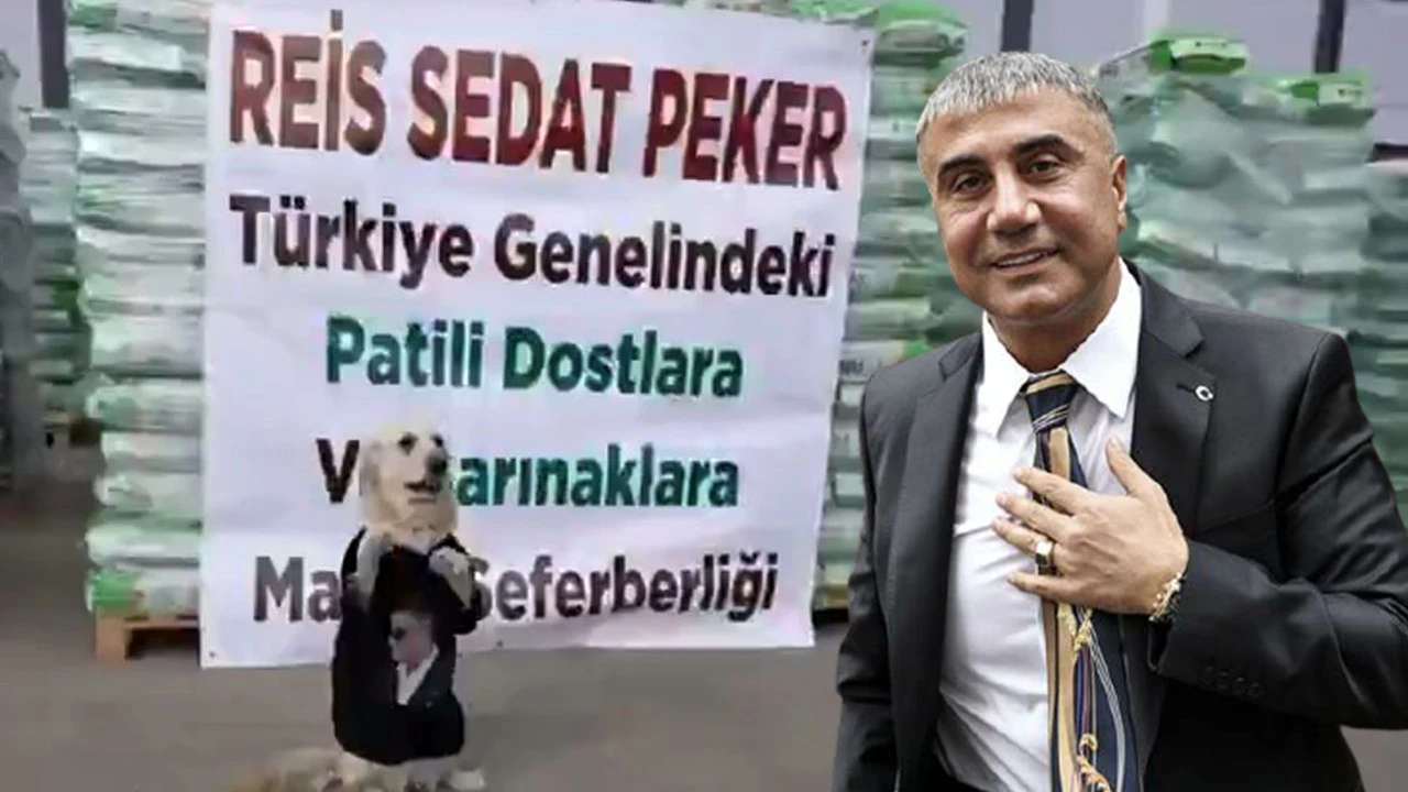 Sedat Peker'den 4 yıl sonra ilk ses kaydı: Hayvanlar benim sessiz kullarımdır...
