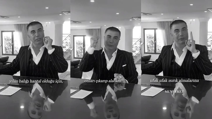 Sedat Peker'den dikkat çeken paylaşım