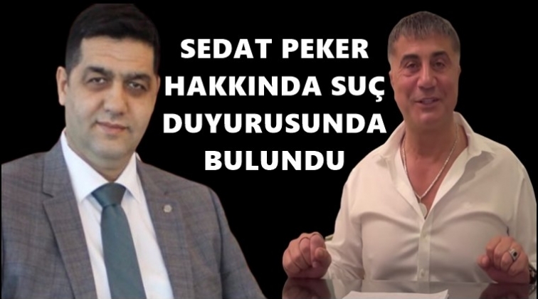 Sedat Peker hakkında suç duyurusu...