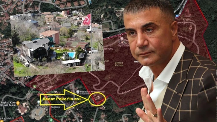 Sedat Peker’in Beykoz’daki mülkü Milli Parklar’a devredildi!