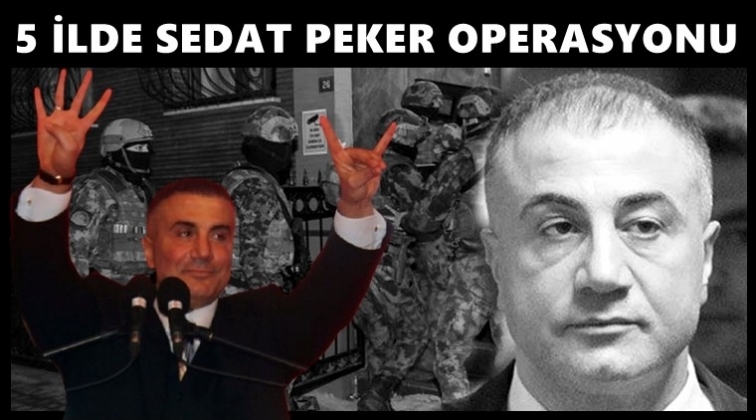 Sedat Peker suç örgütüne 5 ilde operasyon!