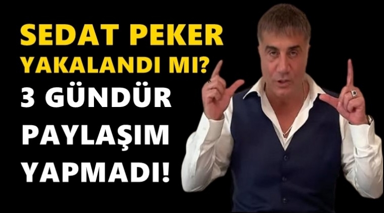 Sedat Peker 3 gündür paylaşım yapmadı...