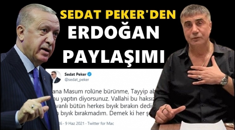 Sedat Peker'den Erdoğan paylaşımı...
