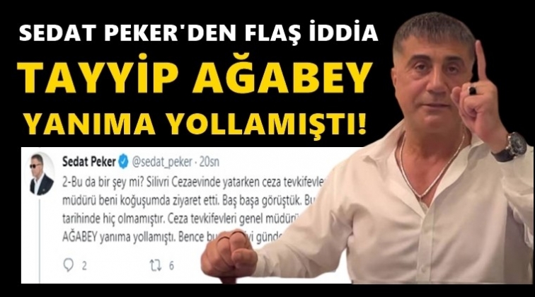 Sedat Peker'den flaş 'Erdoğan' iddiası...
