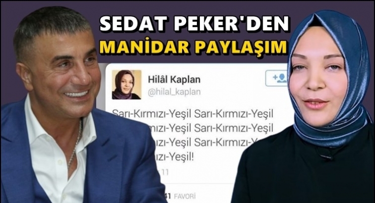 Sedat Peker'den Hilal Kaplan paylaşımı...