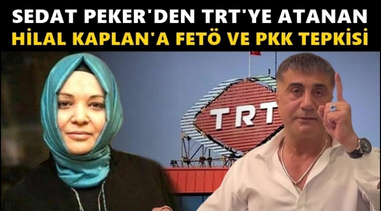 Sedat Peker'den Hilal Kaplan tepkisi...