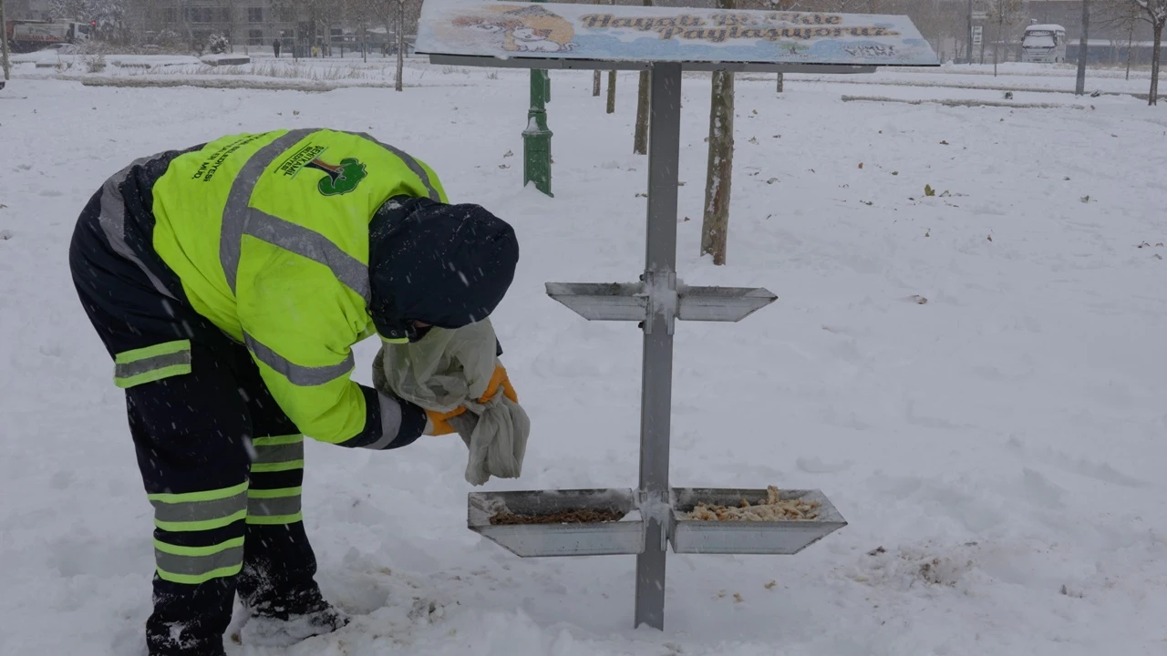 Şehitkamil, sokak hayvanlarını unutmadı