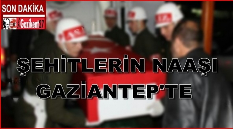 Şehitlerin cenazeleri Gaziantep'te