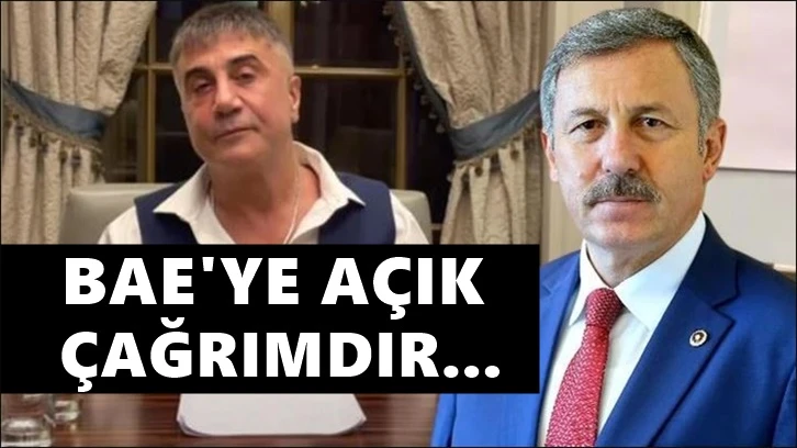 Selçuk Özdağ'dan BAE'ye 'Sedat Peker' çağrısı