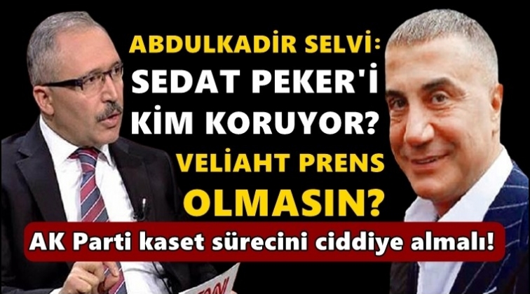 Selvi: Sedat Peker'i kim koruyor?