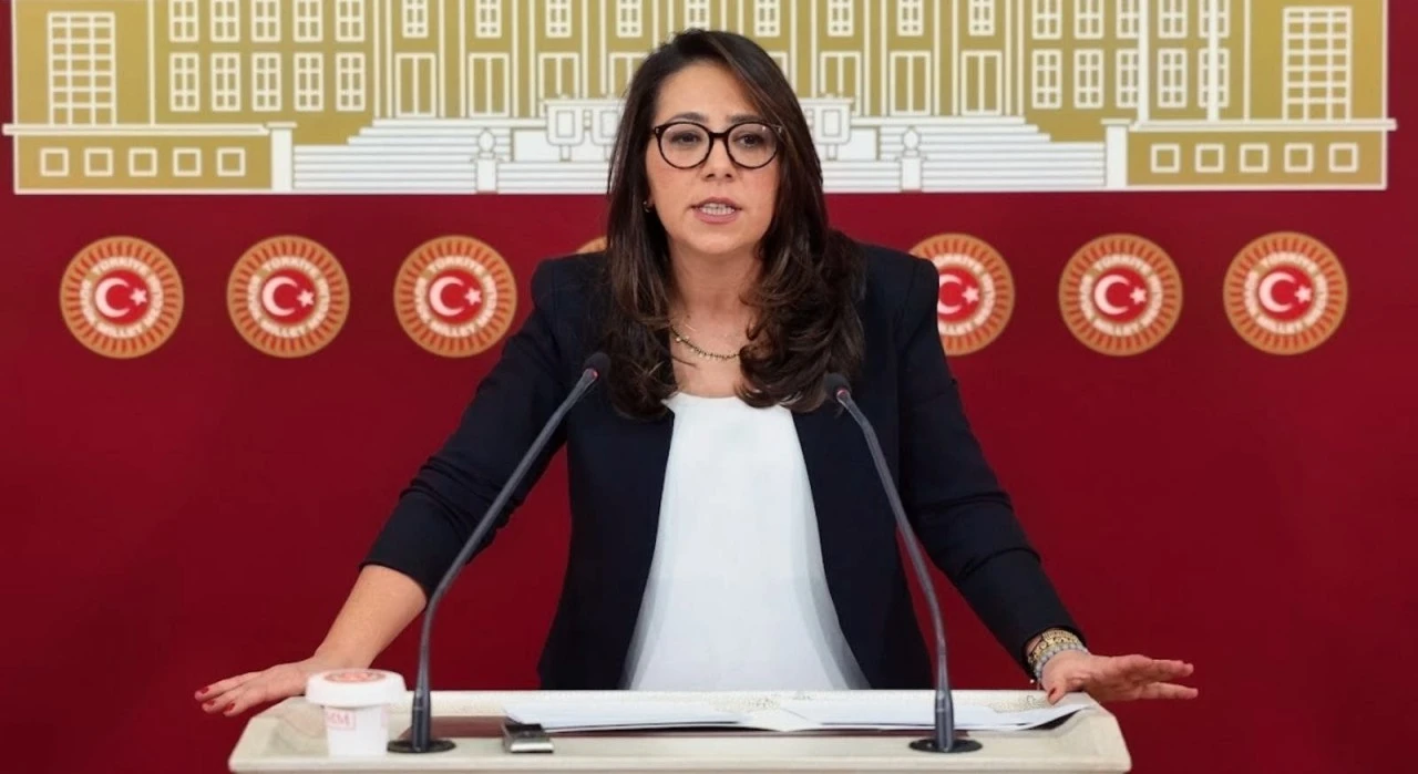 Sera Kadıgil'e 'cumhurbaşkanına hakaret' ve 'tehdit' soruşturması