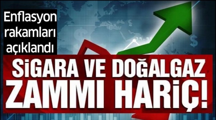 Sigara zammı hariç enflasyon rakamları açıklandı!