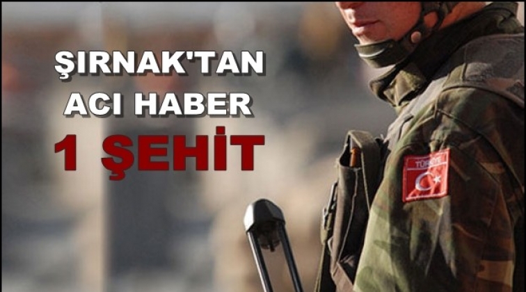 Şırnak'ta mayın patladı: 1 asker şehit