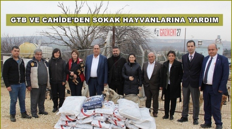 Sokakta yaşayan hayvanlara yardım kampanyası