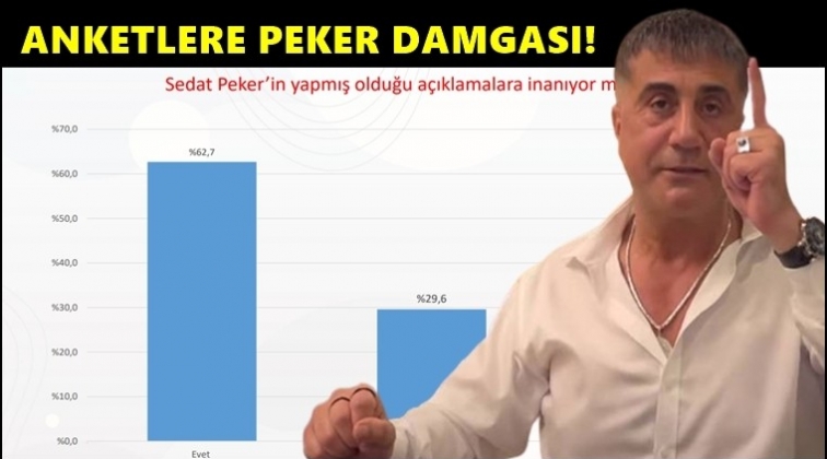 Son anketlere 'Sedat Peker' damgası...