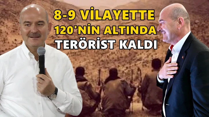 Soylu: 8-9 ilde 120'nin altında terörist kaldı!