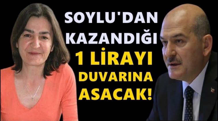 Soylu'nun parasını duvara asacak!