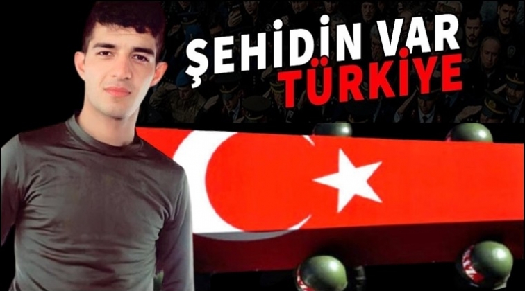 Suriye sınırında bir askerimiz şehit oldu!