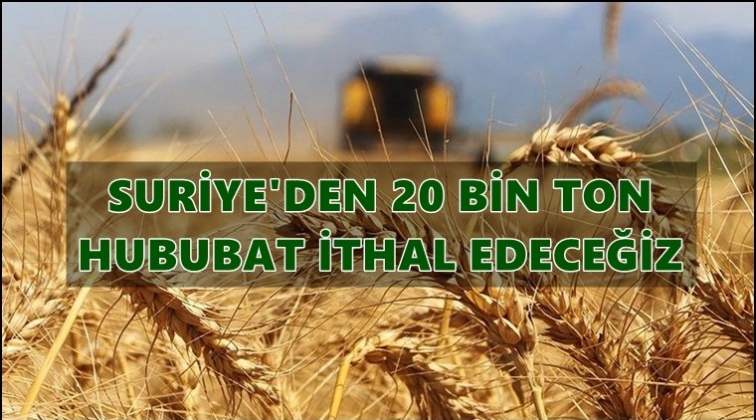 Suriye’den 20 bin ton hububat ithal edilecek