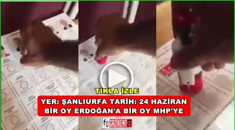 Suru&ccedil;'ta MHP ve Erdoğan'a blok oy iddiası