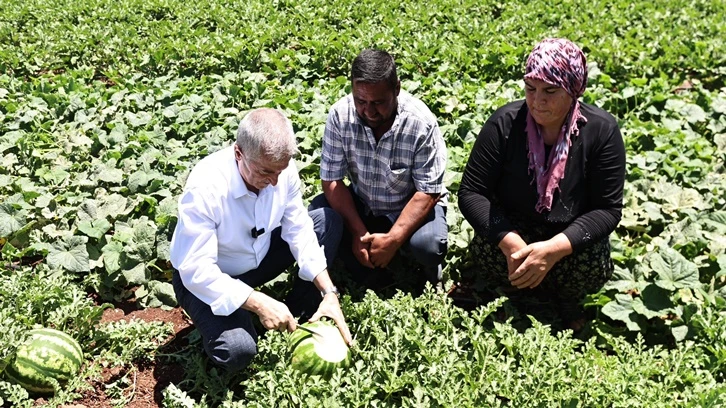 Tahmazoğlu, çiftçilerle birlikte hasat yaptı