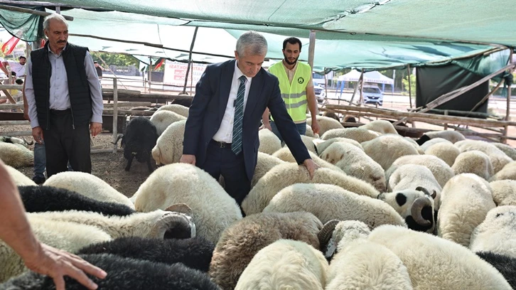 Tahmazoğlu, kurbanlık fiyatlarını açıkladı