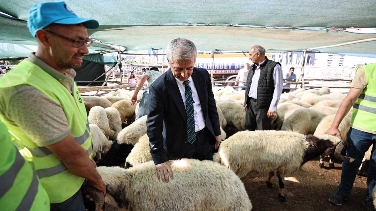 Tahmazoğlu'ndan kurban fiyatları a&ccedil;ıklaması