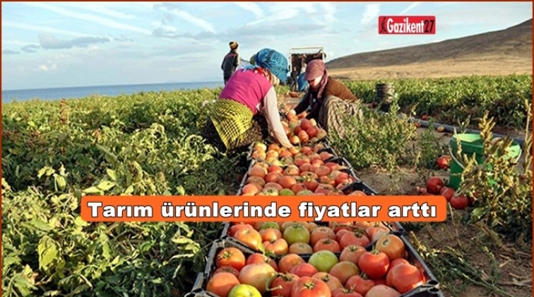 Tarım ürünlerinde fiyatlar arttı