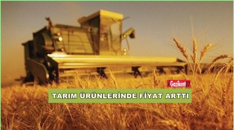 Tarım ürünlerinde fiyatlar Mart'ta da arttı