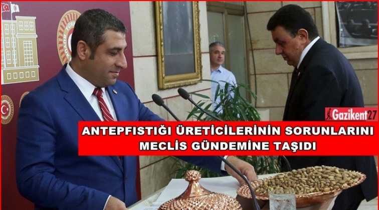 Taşdoğan, Antepfıstığı üreticilerinin sorunlarını anlattı