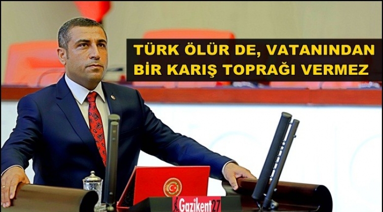Taşdoğan, &Ccedil;anakkale Zaferi'nin yıld&ouml;n&uuml;m&uuml;n&uuml; kutladı
