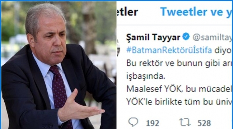 Tayyar: Fetöcü, PKK sevici, gamsız, kedersiz...