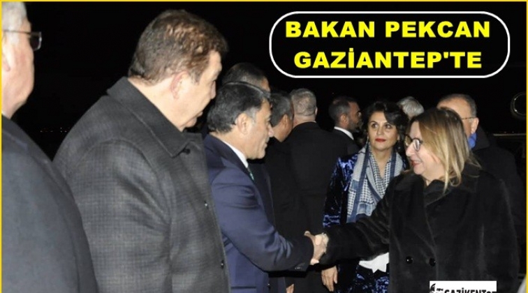 Ticaret Bakanı Ruhsar Pekcan Gaziantep’te