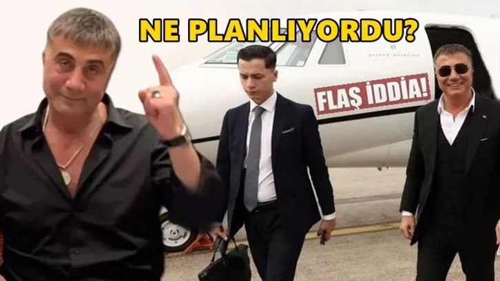 Tolga Şardan'dan flaş Sedat Peker iddiası...