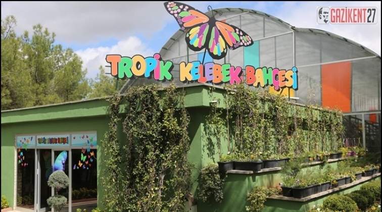 Tropik Kelebek Bah&ccedil;esi ziyaret&ccedil;i ağırlamaya başlayacak
