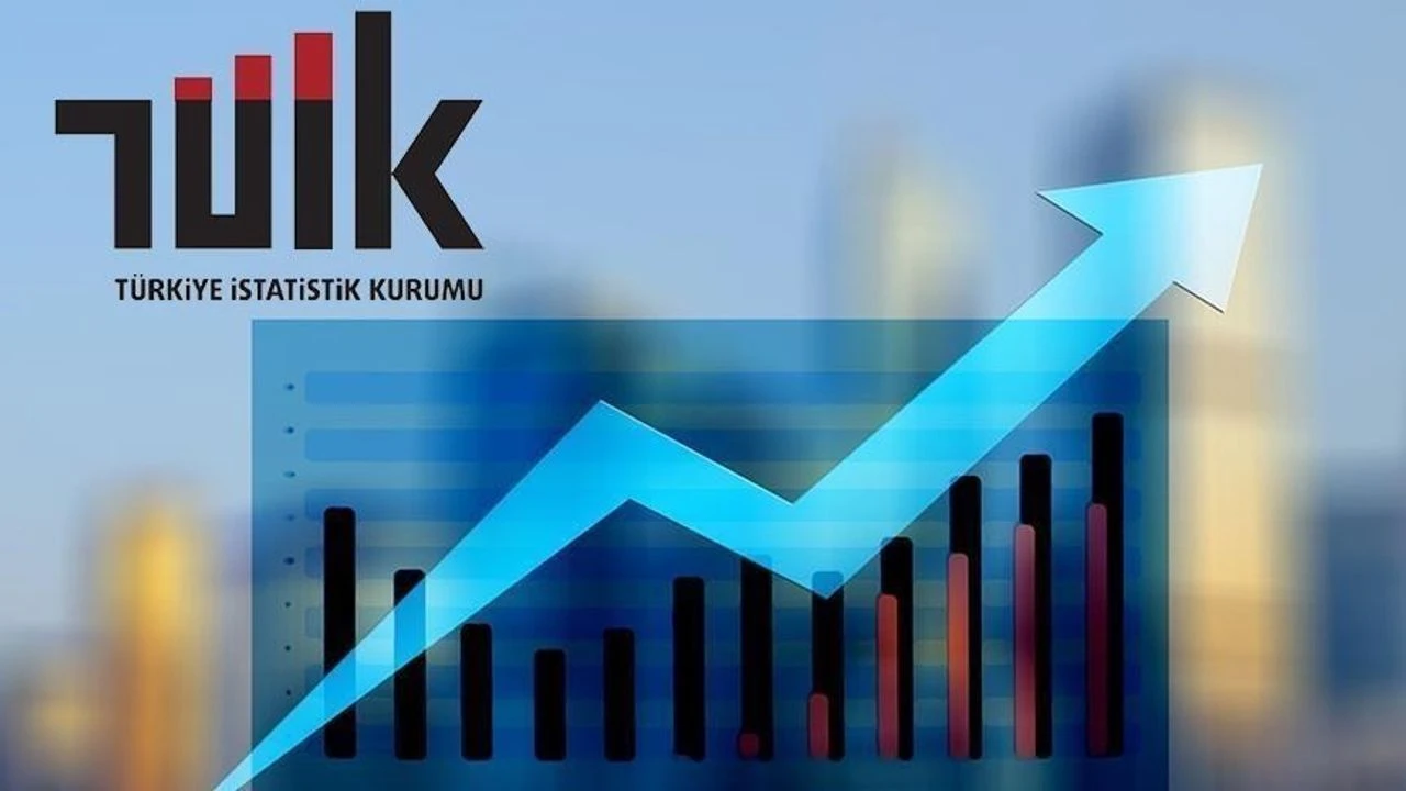 TÜİK'e göre enflasyon Kasım'da yüzde 0,87, yıllık yüzde 31,07 oldu!
