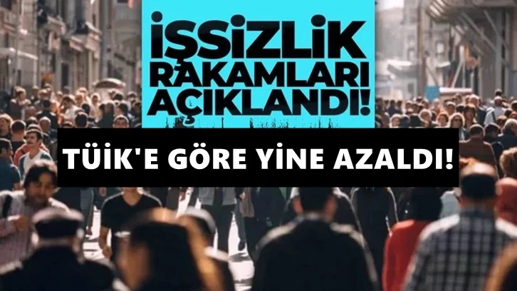 TÜİK'e göre, işsiz sayısı Ağustos'ta azaldı!